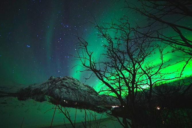 Northern lights - TeslaX Ecofriendly Car - Guide Quality, and Why Kurt’s Approach Shows Up in the Details