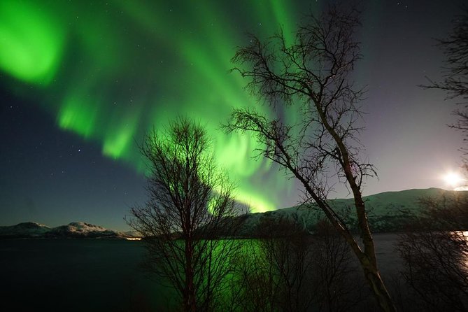Northern lights - TeslaX Ecofriendly Car - Photos and That After-Tour Convenience