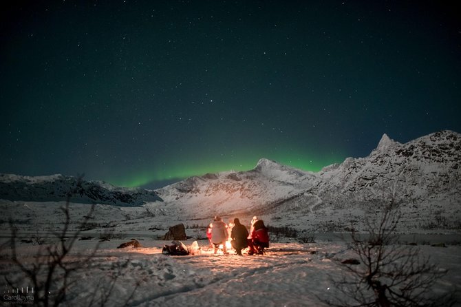 Northern Lights tour - All inclusive - Northern Horizon - Value and logistics, price, group size, and how to book smart