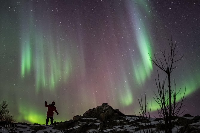 Northern Lights tour - All inclusive - Northern Horizon - From Magic Ice Bar to the fjords, what the evening timing feels like