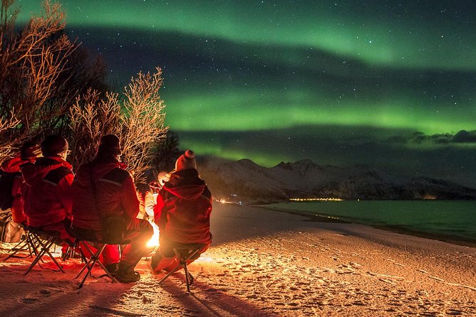 Northern Lights Tour from Tromsø - When the Weather Forces a Change: Driving Farther Than Tromsø