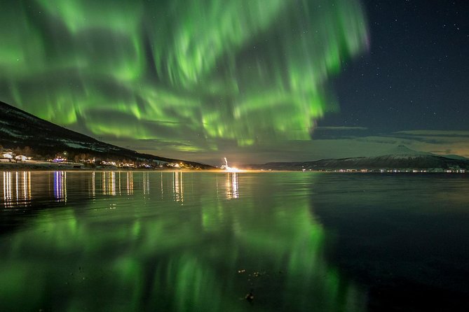 Northern Lights Tour from Tromsø - Guides and Drivers: The People Factor Behind the Best Nights