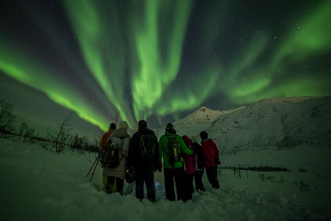 Northern Lights Tour from Tromsø - Photos After the Tour: Next-Day Delivery You Can Actually Use