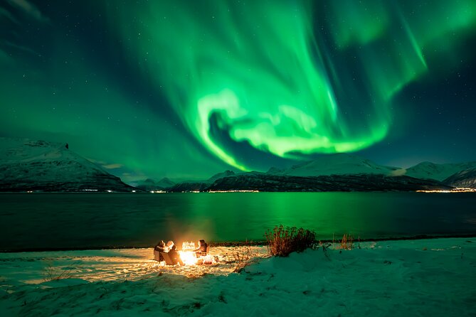 Northern Lights Tour, Photo, Toilet, Meal, Skycam in Mbus - Northern Lights chasing that actually changes your odds