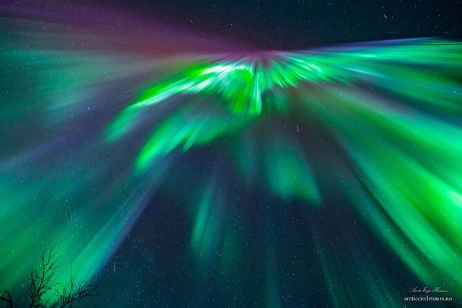 Northern Lights Tour, Photo, Toilet, Meal, Skycam in Mbus - Dinner by bonfire, hot drinks, and the heated toilet tent that saves the night