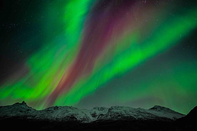 Northern Lights Tour with small group of 8 people - Key points worth knowing before you go