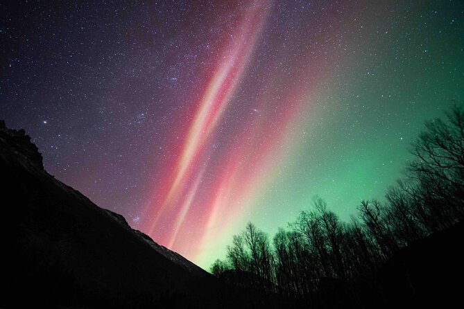 Northern Lights Tour with small group of 8 people - How the 6 to 9 hour itinerary actually plays out