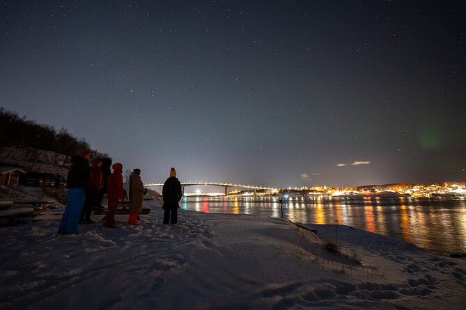 Northern Lights Tours Bodo Norway - Key highlights before you go