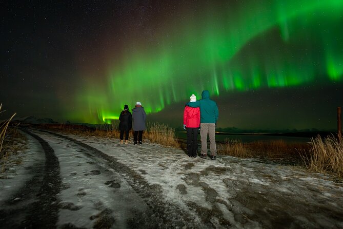 Northern Lights Tours Bodo Norway - Ivar, the English-speaking guide, and why his approach feels steady