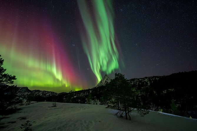 Northern Lights Tours Bodo Norway - Where you might chase the lights, from nearby low-pollution spots to farther drives