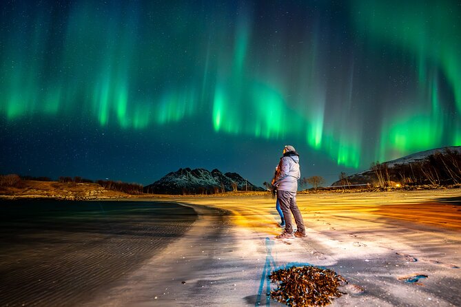 Northern Lights Tours Bodo Norway - What to expect during the 6 to 8 hour aurora hunt