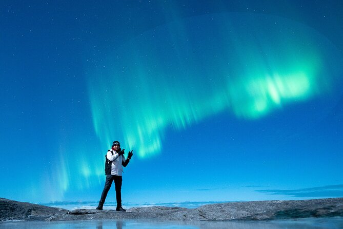 Northern Lights Tours Bodo Norway - Price of $223.73: is it good value for Bodø aurora viewing?