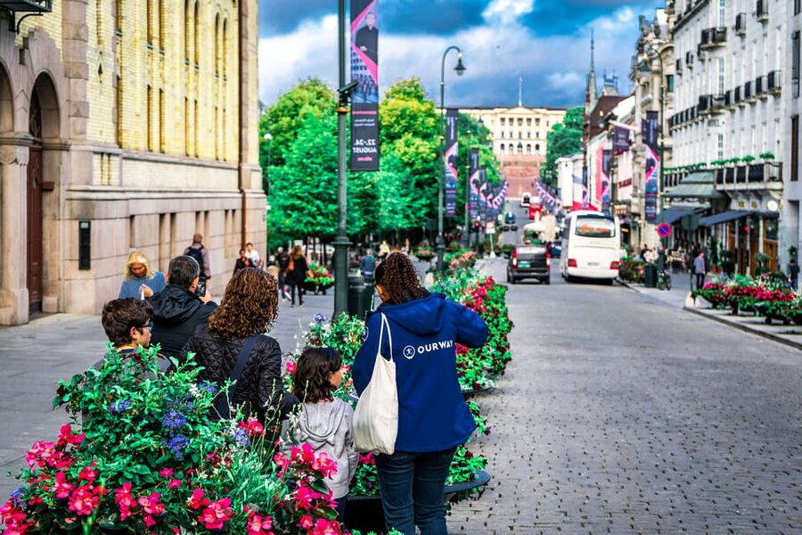Oslo: 3-hour Highlights & Vigeland Park Private Walking Tour - Oslo City Hall, the National Theatre, and the feel of Karl Johans gate