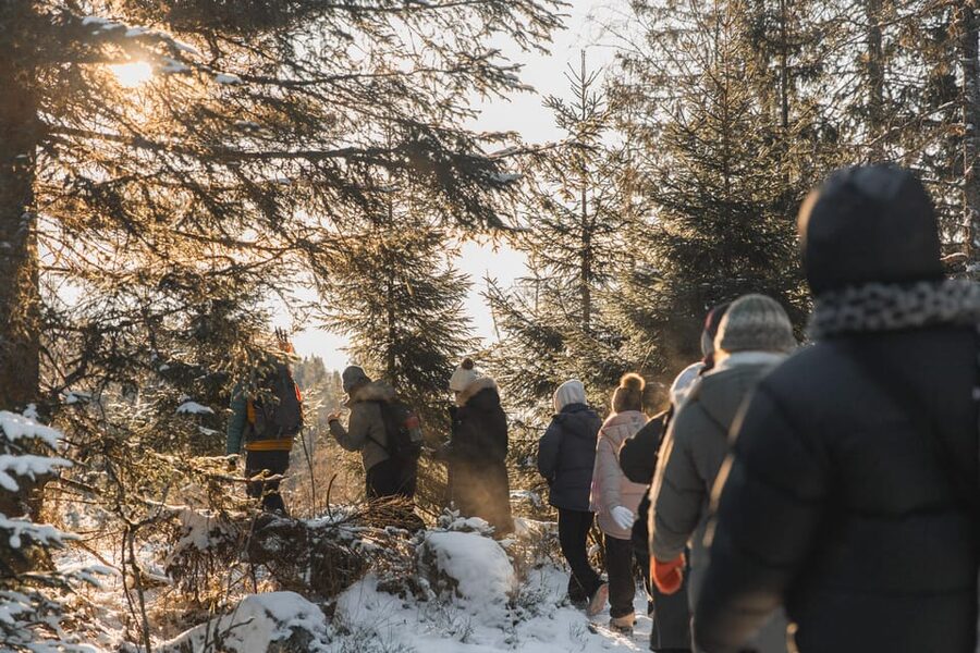 Oslo: Best View of the Oslofjord Winter Edition - Key Things You Should Know Before You Go