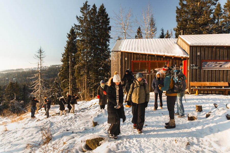 Oslo: Best View of the Oslofjord Winter Edition - Pace, Fitness, and Winter-Smart Expectations