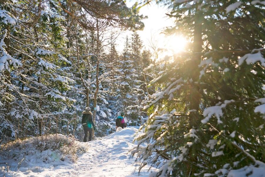 Oslo: Best View of the Oslofjord Winter Edition - Snowy Forest Hike With Spikes and Poles (Where the Tour Becomes Fun)