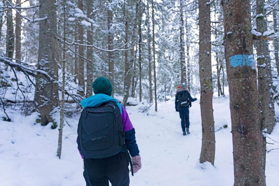 Oslo: Best View of the Oslofjord Winter Edition - The Descent Back to Jernbanetorget (And How the Timing Feels)