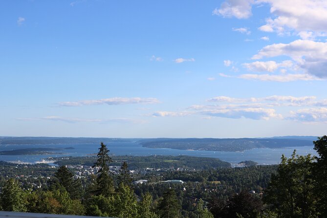 Oslo City Highlights with Fjord Cruise - Pace, walking, and what to bring so the day feels easy