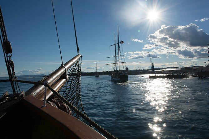 Oslo Fjord Evening Cruise with Shrimp Buffet on a Sailing Ship - Weather Reality: When the Fjord Turns Up the Challenges