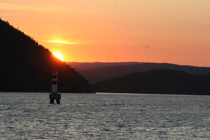 Oslo Fjord Evening Cruise with Shrimp Buffet on a Sailing Ship - Service, Vibe, and Group Size: What the Boat Feels Like