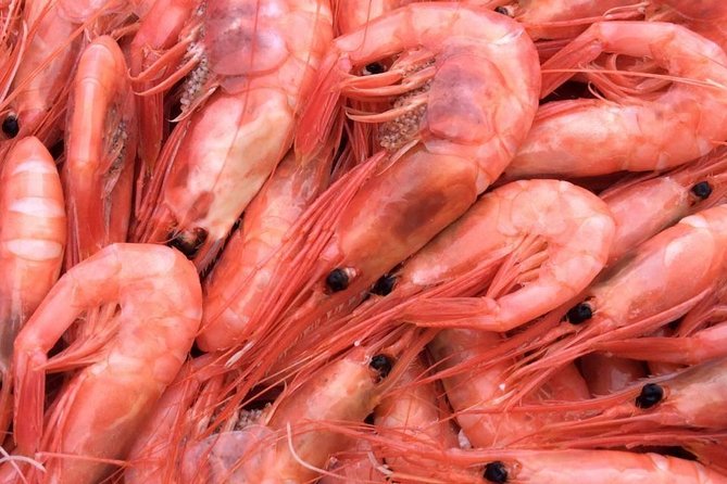 Oslo Fjord Evening Cruise with Shrimp Buffet on a Sailing Ship - Value for Money: Why $90.25 Often Works Here