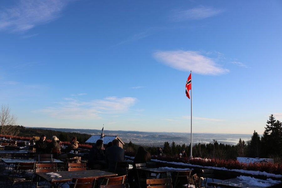 Oslo: Guided Oslo Highlights Tour by bus & Oslofjord cruise - Vigeland Sculpture Park: why it works as a guided walk