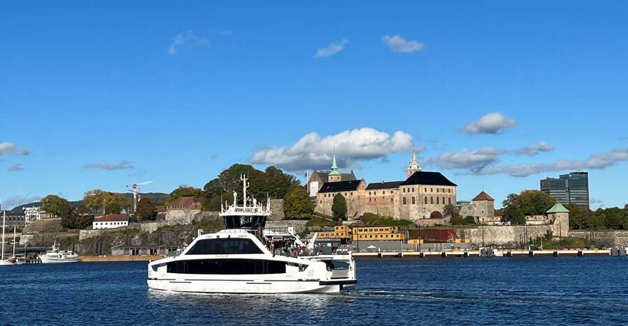 Oslo: Guided Oslo Highlights Tour by bus & Oslofjord cruise - Price and value for $110 per person