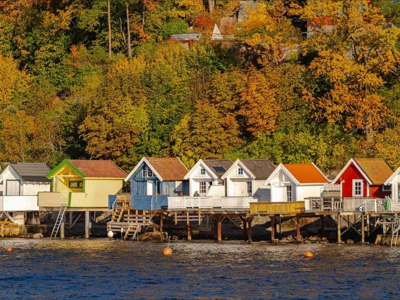 Oslo: Guided Sightseeing Fjord Cruise on Premium Silent Boat - Getting to Rådhusbrygge 2 and boarding Ms Brisen without stress