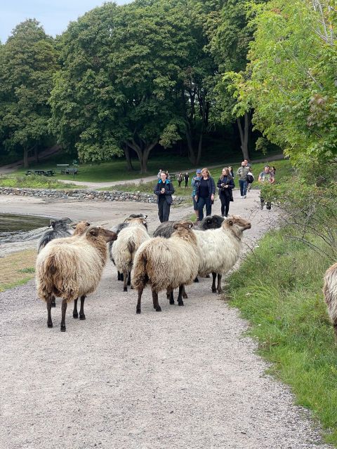 Oslo Island Walks: Island Hopping Tour - Quick hits