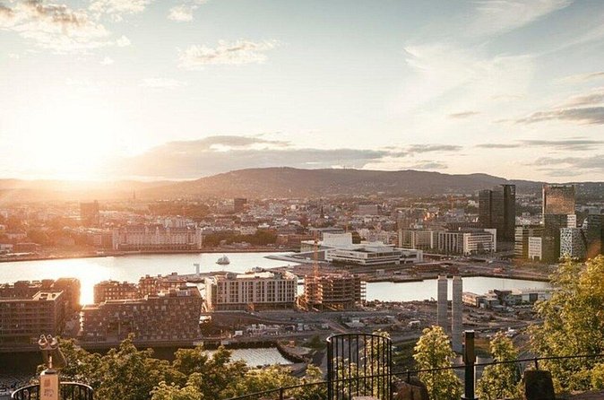 Oslo : Must-See Attractions Walking Tour With A Guide - Vigeland Sculpture Park: the optional walk that many people remember