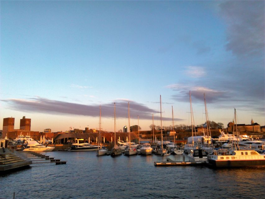 Oslo Nature Walks: Island Hopping Tour - Starting at Rådhusbrygge 4: The Easy, Local Ferry Flow