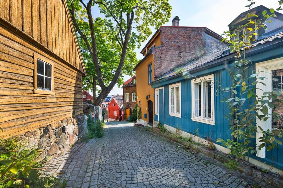 Oslo: Norwegian Food Tour & Hidden Gems City Walk - Key points worth knowing