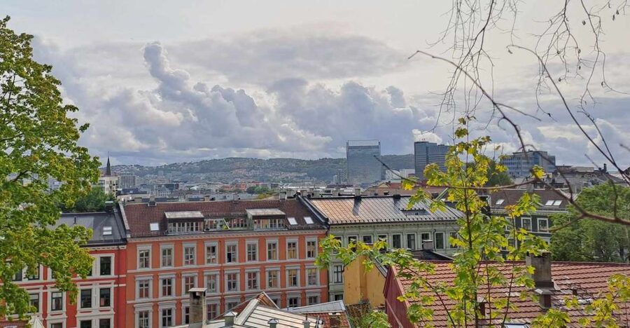 Oslo: Norwegian Food Tour & Hidden Gems City Walk - Price, Group Size, and Why It Still Makes Sense