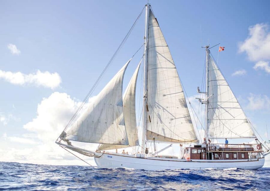 Oslo: Oslofjord Fjord-Style Dinner Cruise - Should You Book Oslofjord Fjord-Style Dinner Cruise?