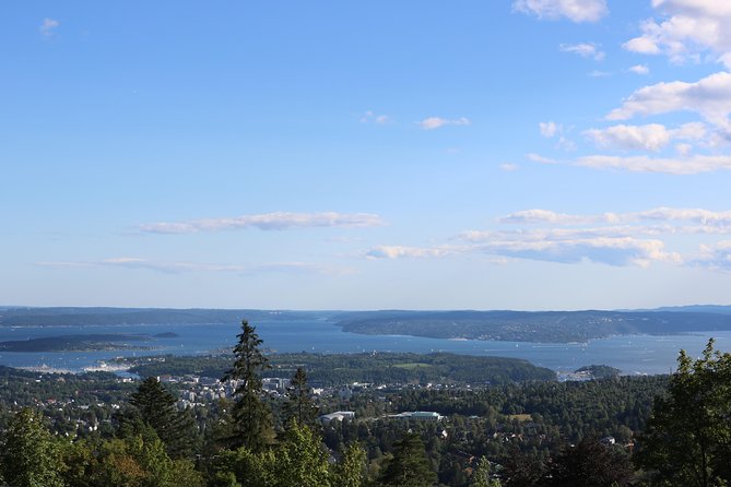 Oslo Panorama Tour with Holmenkollen Ski Jump and Vigeland Park - Meeting at Haakon VIIs Gate, Then Rolling Into the City Core