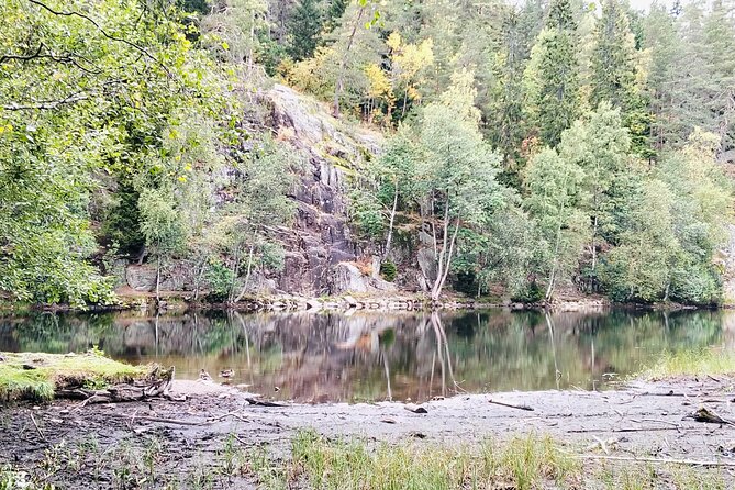 Oslo’s Ultimate Fjord View Hike & Norwegian Waffle Workshop - Price and group size: why this $85.83 feels fair for 3.5 hours