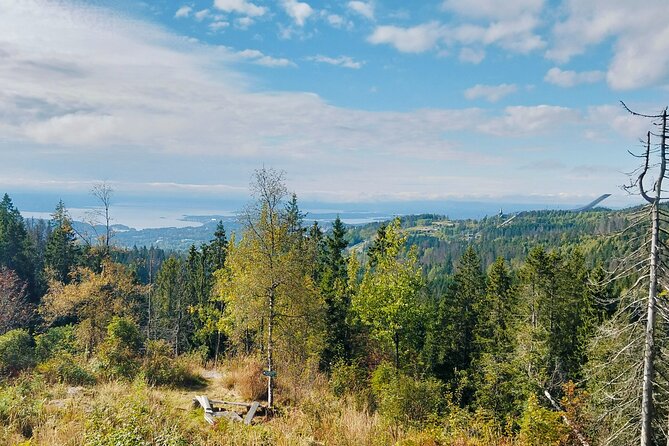Oslo’s Ultimate Fjord View Hike & Norwegian Waffle Workshop - Stop 2: Bantjern lake, bonfire waffles, and the toppings that make it Norwegian