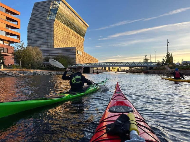 Oslo Sea Kayak Tour “Fjord City” - Weather reality: you go in all conditions except the big safety flags