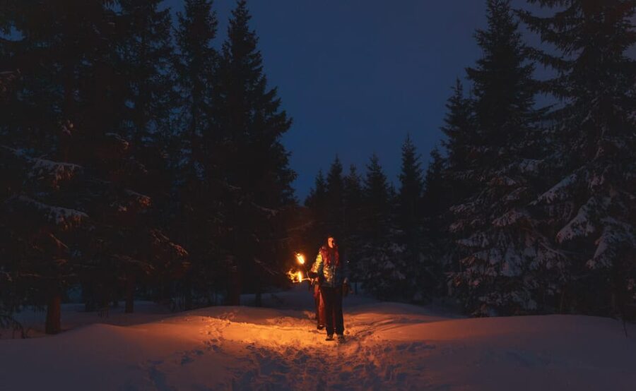 Oslo: Snowy Forest Torchlight Walk with Campfire - Above Oslo at Night, the Part That Actually Feels Different