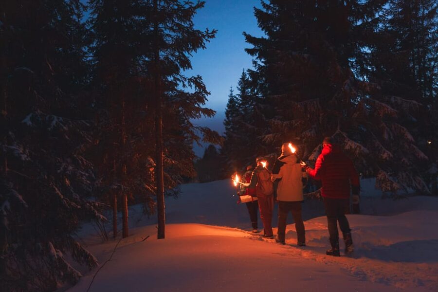 Oslo: Snowy Forest Torchlight Walk with Campfire - Frognerseteren Photo Stops, Safety Briefing, and Why Timing Matters