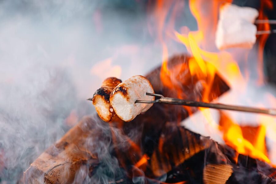 Oslo: Snowy Forest Torchlight Walk with Campfire - How the Guide Makes It Work (and Why Names Keep Coming Up)