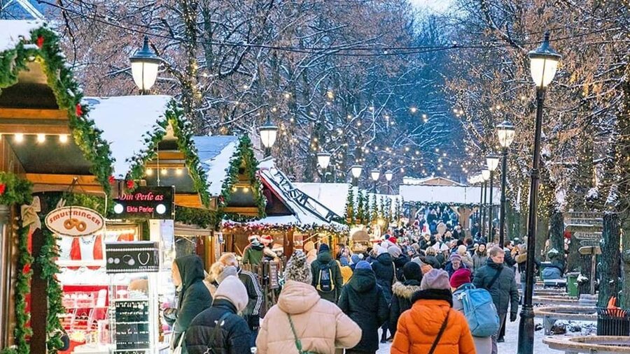 Oslo: The Grand Experience Walking Tour with Lunch or Dinner - Royal Palace meeting point: finding your guide fast