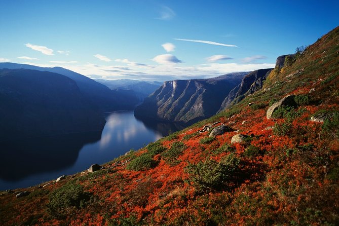 Oslo To Bergen Self-Guided Full Day Trip with Flåm Railway And Fjord Cruise - Price and Value: What $454.91 Really Covers (and What It Does Not)