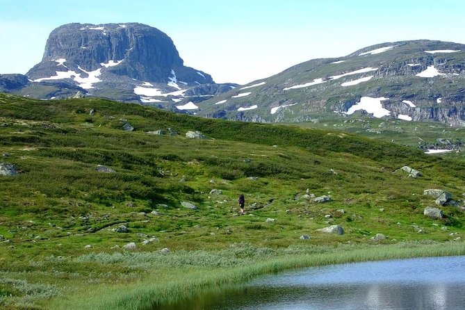 Oslo To Sognefjord Private Full Day Roundtrip Including Flam Railway - Flåm Railway: waterfalls, timing, and the side of the train matters