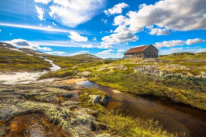 Oslo To Sognefjord Private Full Day Roundtrip Including Flam Railway - Myrdal changeover and the ride toward Geilo