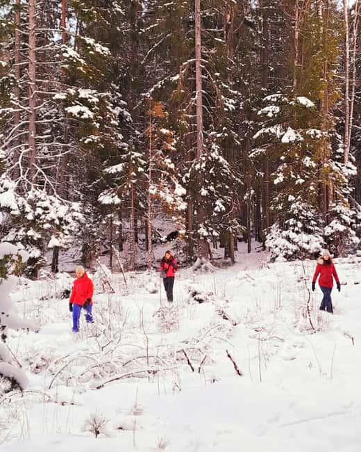 Oslo: Winter Wonderland Forest Hike and Campfire with a Dog - Winter Safety and Comfort: Spikes, Seat Pads, and Clothing That Can Take It