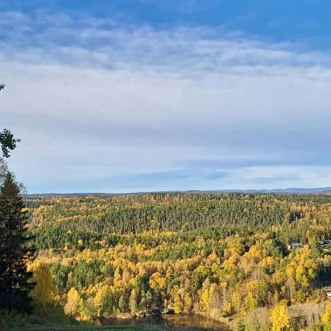Oslo: Winter Wonderland Forest Hike and Campfire with a Dog - Traditional Village Start: A Soft Landing Before the Uphill