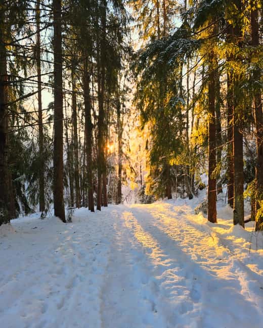 Oslo: Winter Wonderland Forest Hike and Campfire with a Dog - The Campsite Break: Campfire Warmth and Norwegian Snacks