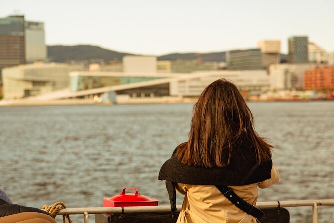 Oslofjord Sightseeing - Winter Reality Check: What To Wear And How To Plan For Wind