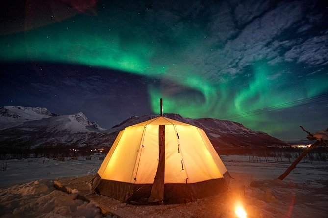 Overnight Stay with Reindeer Sledding & Feeding - Key things I’d bet on